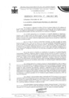 Vista preliminar de documento ordenanza municipal