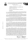 Vista preliminar de documento ordenanza municipal