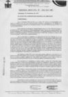 Vista preliminar de documento ordenanza municipal