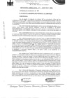 Vista preliminar de documento ordenanza municipal