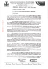 Vista preliminar de documento ordenanza municipal