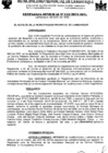 Vista preliminar de documento ordenanza municipal