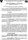 Vista preliminar de documento ordenanza municipal
