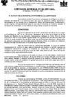 Vista preliminar de documento ordenanza municipal