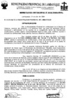 Vista preliminar de documento ordenanza municipal