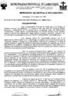 Vista preliminar de documento ordenanza municipal