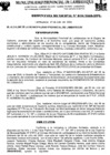 Vista preliminar de documento ordenanza municipal