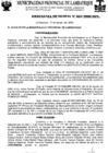 Vista preliminar de documento ordenanza municipal