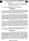 Vista preliminar de documento ordenanza municipal