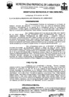 Vista preliminar de documento ordenanza municipal