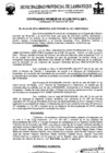 Vista preliminar de documento ordenanza municipal