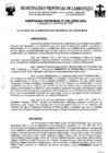 Vista preliminar de documento ordenanza municipal