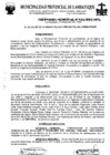 Vista preliminar de documento ordenanza municipal