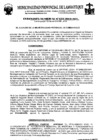 Vista preliminar de documento ordenanza municipal