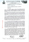 Vista preliminar de documento ordenanza municipal
