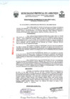 Vista preliminar de documento ordenanza municipal
