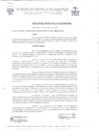 Vista preliminar de documento ordenanza municipal