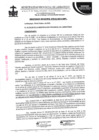 Vista preliminar de documento ordenanza municipal