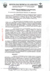 Vista preliminar de documento ordenanza municipal
