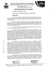 Vista preliminar de documento ordenanza municipal