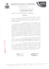 Vista preliminar de documento ordenanza municipal