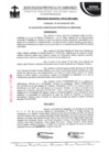 Vista preliminar de documento ordenanza municipal
