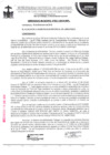 Vista preliminar de documento ordenanza municipal