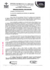 Vista preliminar de documento ordenanza municipal