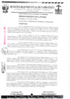 Vista preliminar de documento ordenanza municipal