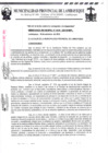 Vista preliminar de documento ordenanza municipal