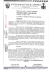 Vista preliminar de documento ordenanza municipal