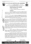 Vista preliminar de documento ordenanza municipal