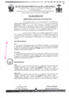 Vista preliminar de documento ordenanza municipal