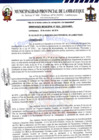 Vista preliminar de documento ordenanza municipal