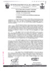 Vista preliminar de documento ordenanza municipal