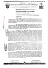 Vista preliminar de documento ordenanza municipal