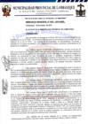 Vista preliminar de documento ordenanza municipal