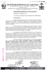 Vista preliminar de documento ordenanza municipal