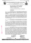 Vista preliminar de documento ordenanza municipal
