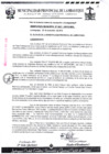 Vista preliminar de documento ordenanza municipal