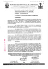 Vista preliminar de documento ordenanza municipal