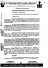 Vista preliminar de documento ordenanza municipal