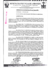 Vista preliminar de documento ordenanza municipal