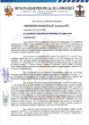 Vista preliminar de documento ordenanza municipal