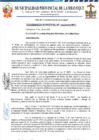 Vista preliminar de documento ordenanza municipal