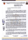 Vista preliminar de documento ordenanza municipal