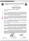 Vista preliminar de documento ordenanza municipal