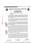 Vista preliminar de documento ordenanza municipal