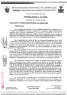 Vista preliminar de documento ordenanza municipal