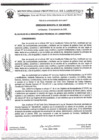 Vista preliminar de documento ordenanza municipal